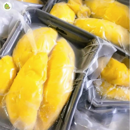 Ri6 Cấp Đông