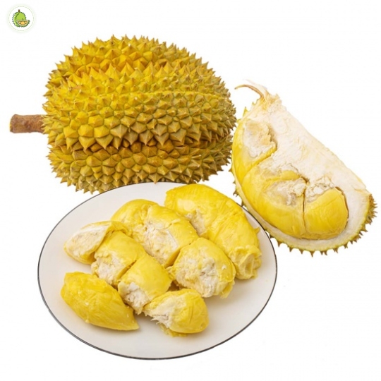 Sầu Riêng Thái ( Mongthong)